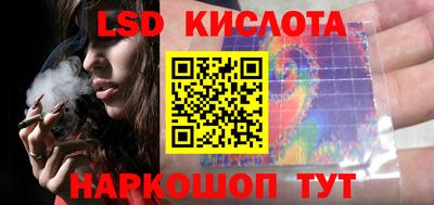 a pvp Камышлов