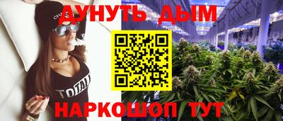 a pvp Камышлов
