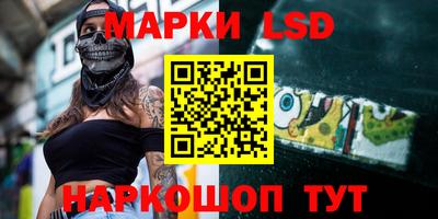 a pvp Камышлов