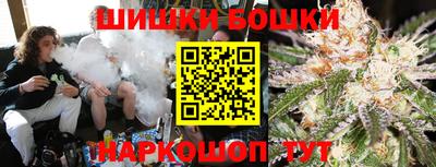 a pvp Камышлов