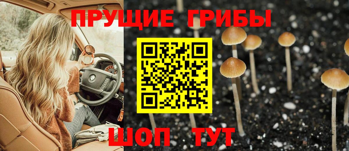 Галлюциногенные грибы Psilocybine cubensis  Псилоцибиновые грибы GOLDEN TEACHER  Минусинск  Вход с VPN 
